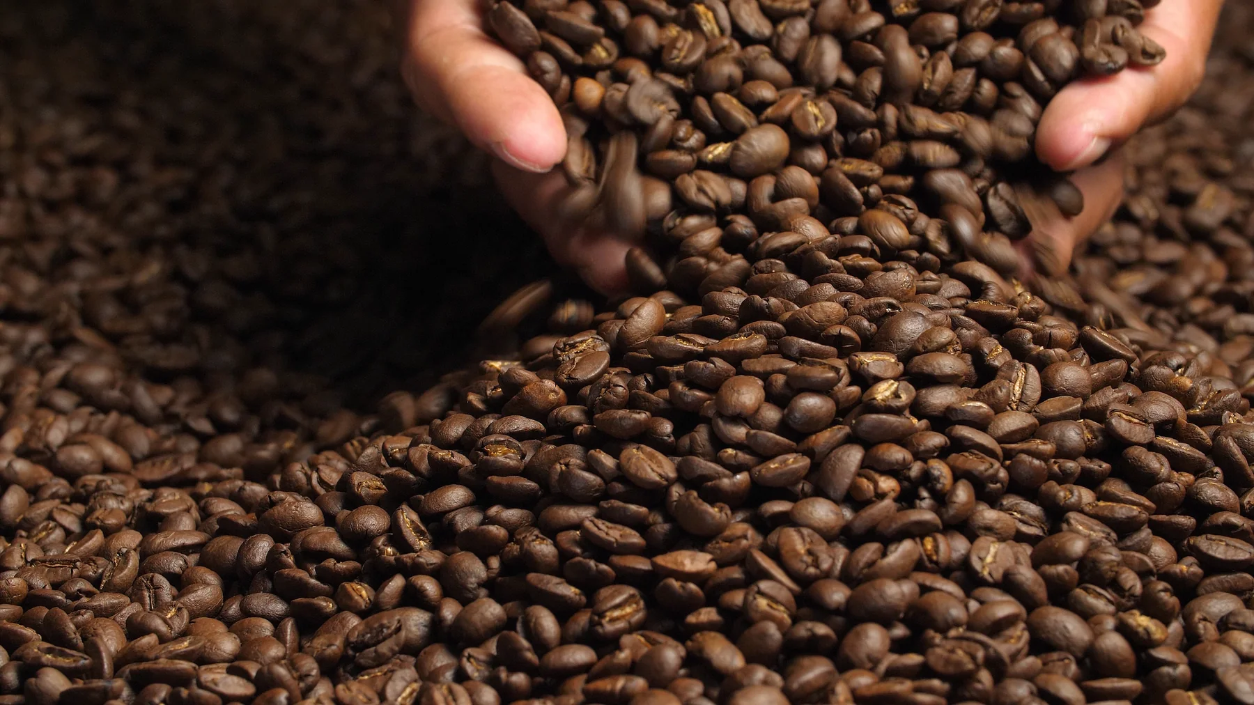 Granos de café